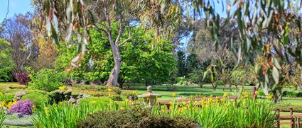 Japanese Garden - Cowra 